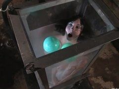 Связанная брюнетка красотка заперта в кубе с водой и ждет наказания
