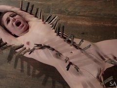 Молодая девушка связана и защиплена прищепками